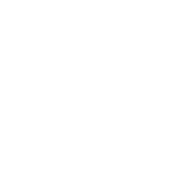 WhatsApp Icon